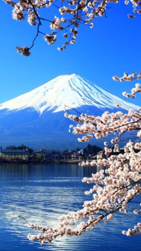 幸運を呼ぶ待ち受け⑧：富士山の画像